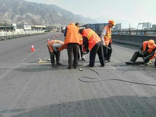 霍林郭勒道路桥梁病害治理